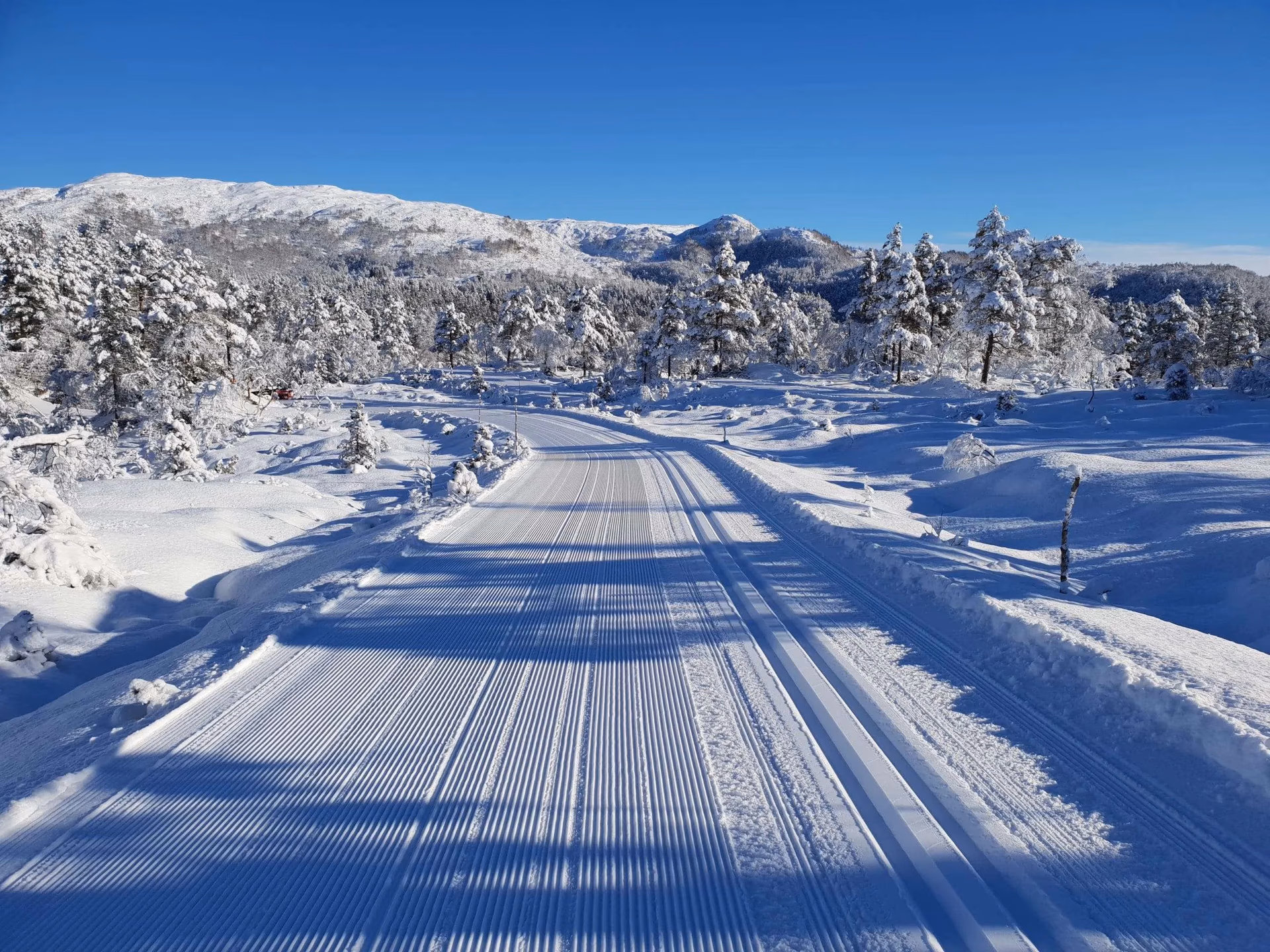 Totræna Vinterpark på Facebook